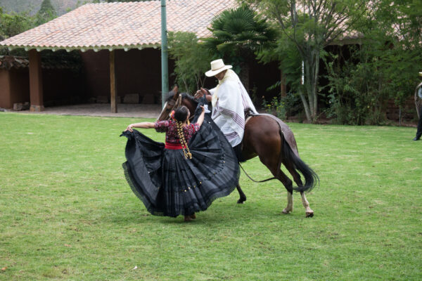 A Special Invite To Hacienda Huayoccari In The Sacred Valley 4 HORSES