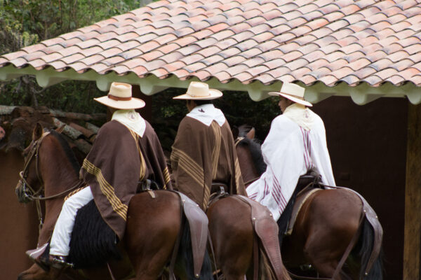 A Special Invite To Hacienda Huayoccari In The Sacred Valley 3 HORSES3