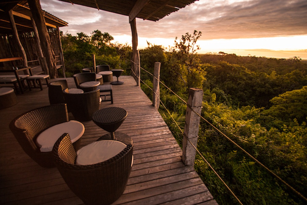 Marisol’s Insider Guide To Booking A Trip To The Galapagos Islands 7 galapagos balcony facing vegetation