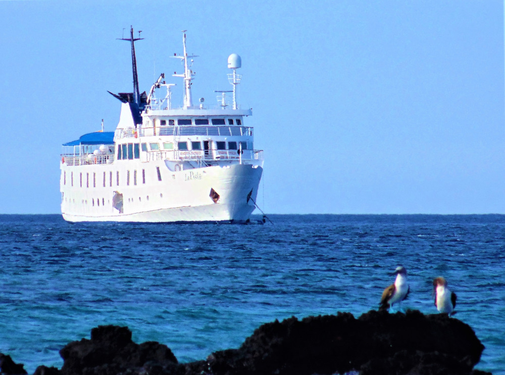 Marisol’s Insider Guide To Booking A Trip To The Galapagos Islands 3 La pinta Cruise in the ocean