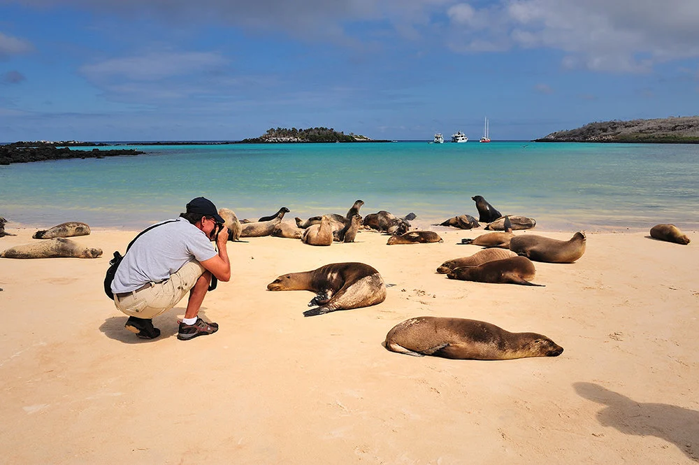 Marisol’s Insider Guide To Booking A Trip To The Galapagos Islands 10 galapagos sea lions