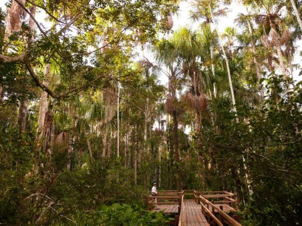 Travel With Purpose: Stories Of Sustainability 6 Inkaterra
