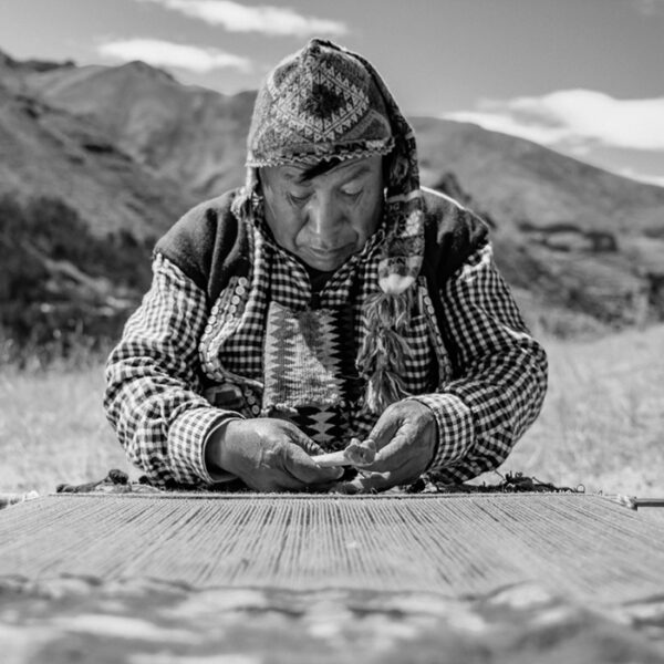 The Aracari Family 21 Timoteo Ccarita