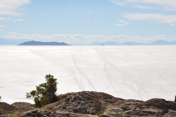 Uyuni Salt Flat Pescado Island