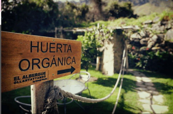 el albergue