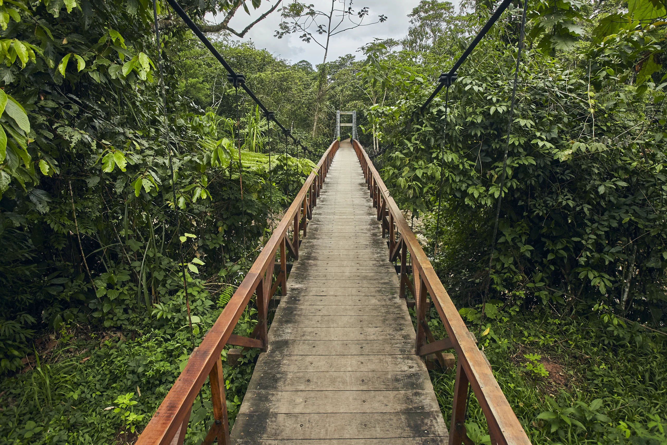 How To Plan A Trip To The Amazon: Our Expert Guide 6 Bosque Guardian