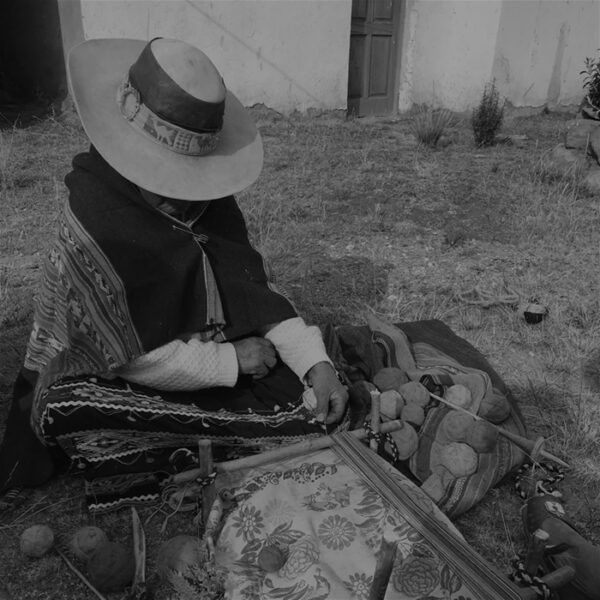 The Aracari Family 35 Ponchos rojas