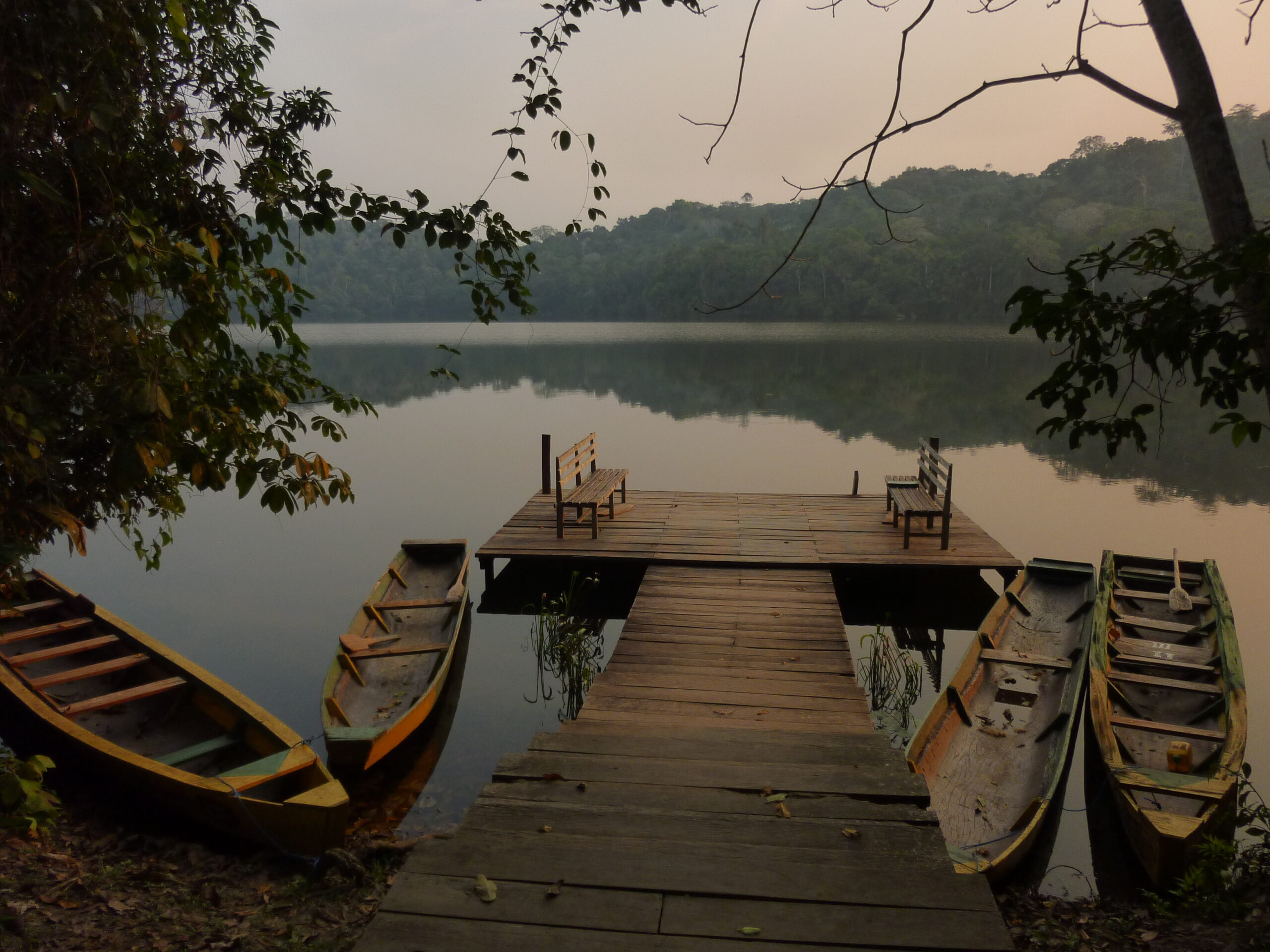National Parks In South America: Our Unique Guide 21 chalalan eco lodge scaled