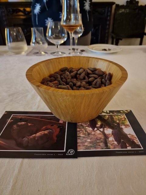 Rum and Chocolate Tasting experience