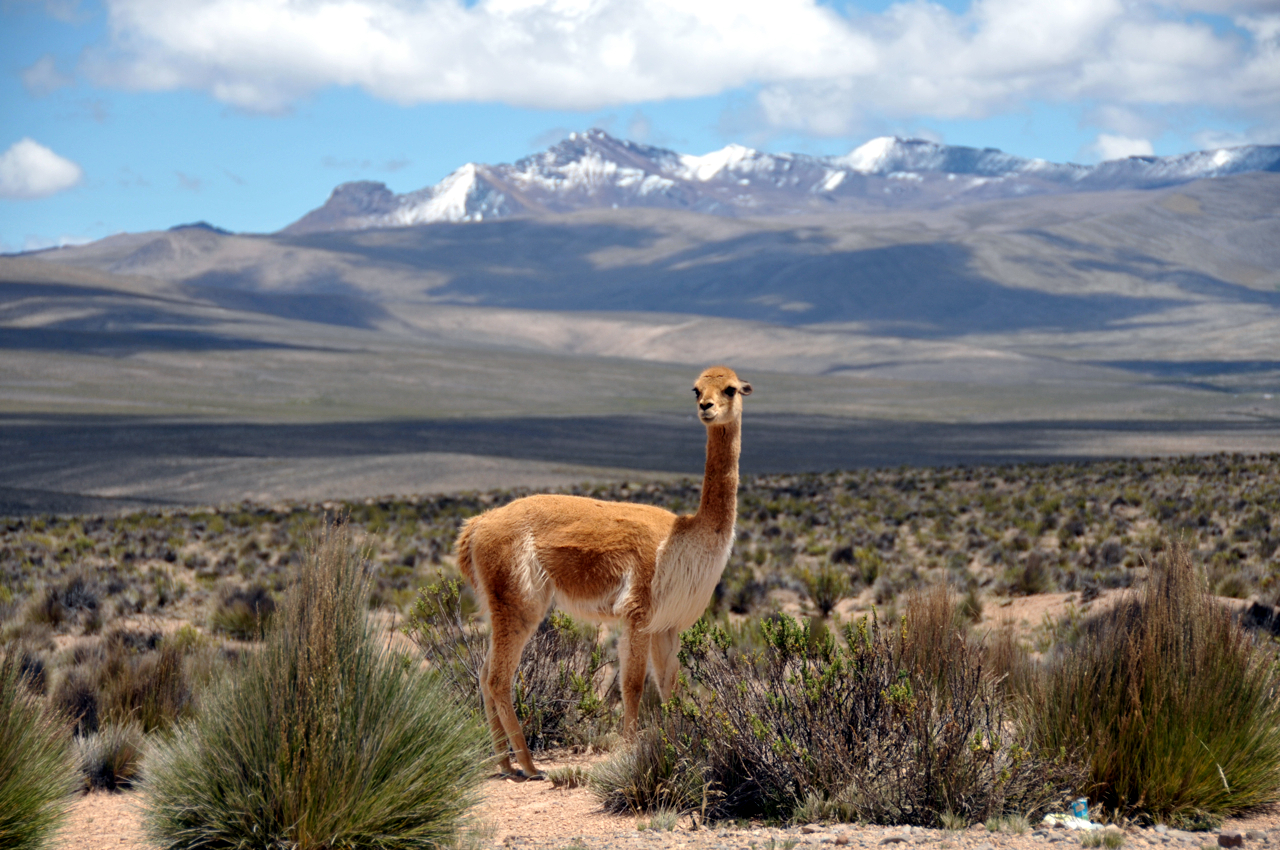 Chile