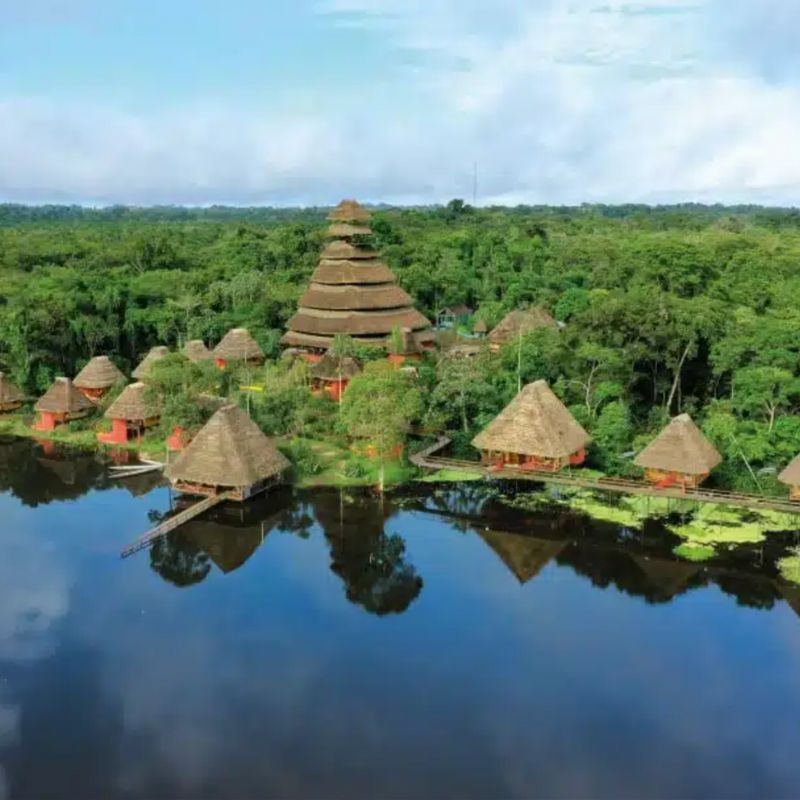 How To Plan A Trip To The Amazon: Our Expert Guide 11 Napo Wildlife Center