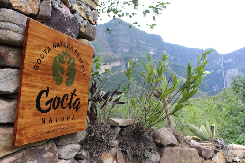 How To Plan A Trip To The Amazon: Our Expert Guide 9 Gocta Natura