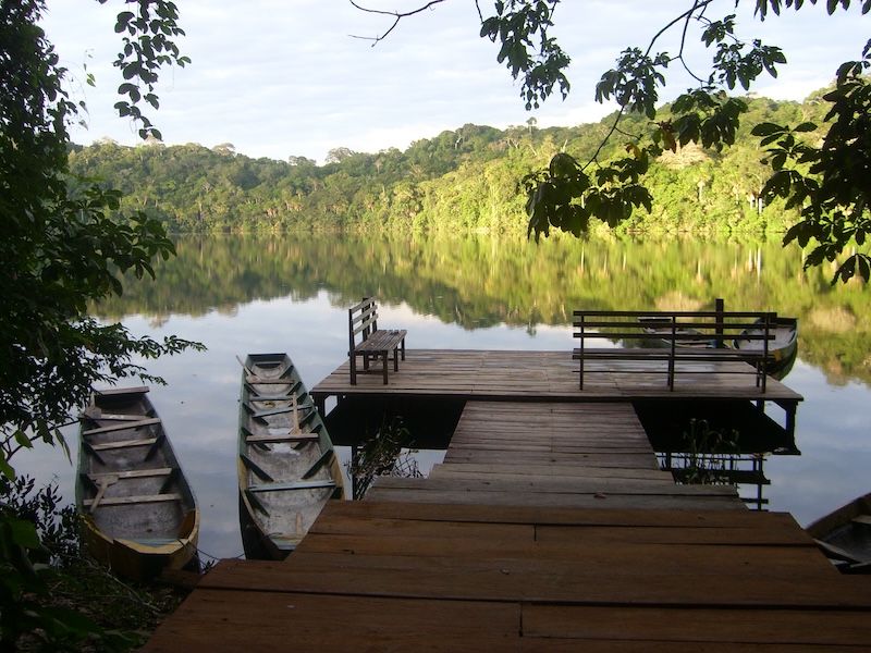 How To Plan A Trip To The Amazon: Our Expert Guide 12 Chalalan Lodge
