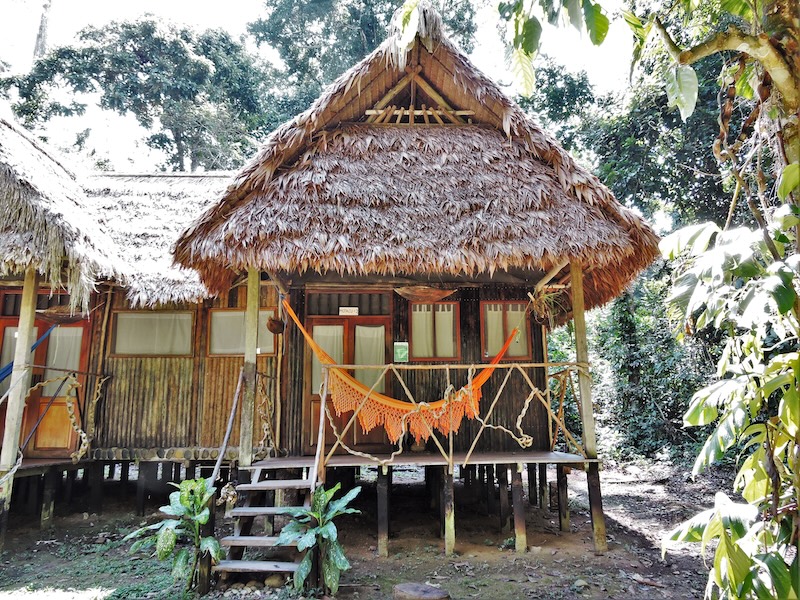 How To Plan A Trip To The Amazon: Our Expert Guide 13 Chalalan Lodge