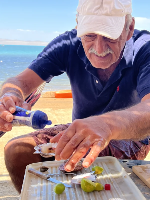 Paracas scallop hunting
