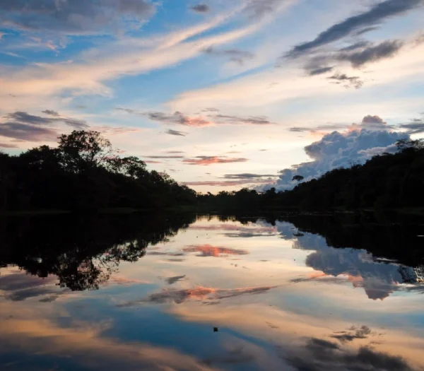 How To Cruise The Amazon: Unforgettable Luxury For Every Kind Of Traveler 3 9