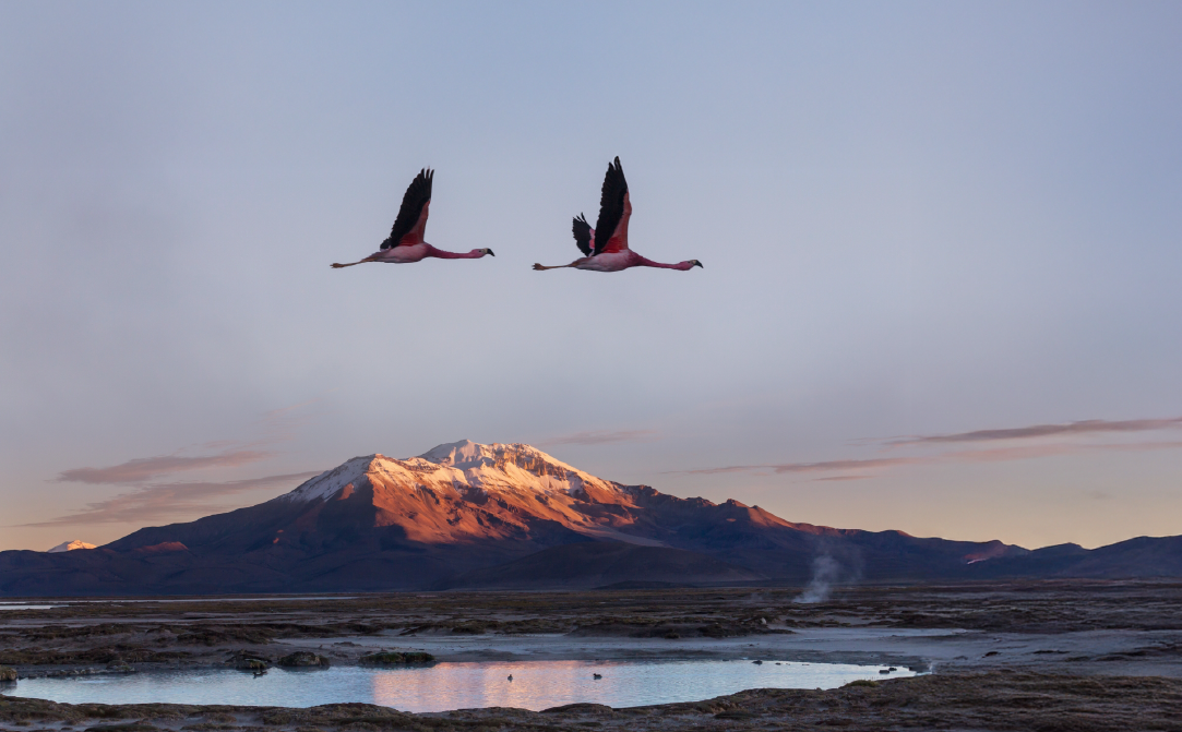 Travel into the soul of Peru and South America 9 start planning your trip