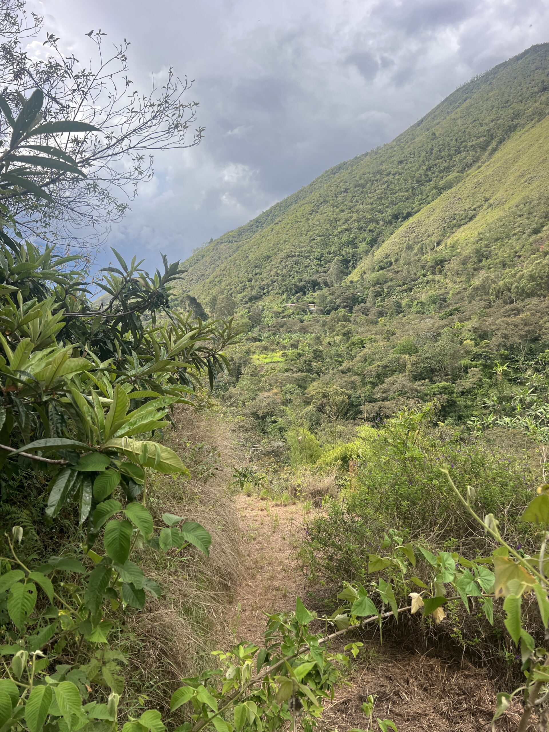 Where To Go In South America In 2026: The Aracari Hotlist 15 IMG 5173