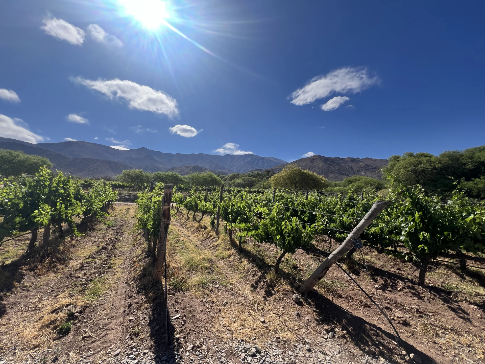 Where To Go In South America In 2026: The Aracari Hotlist 17 IMG 5879