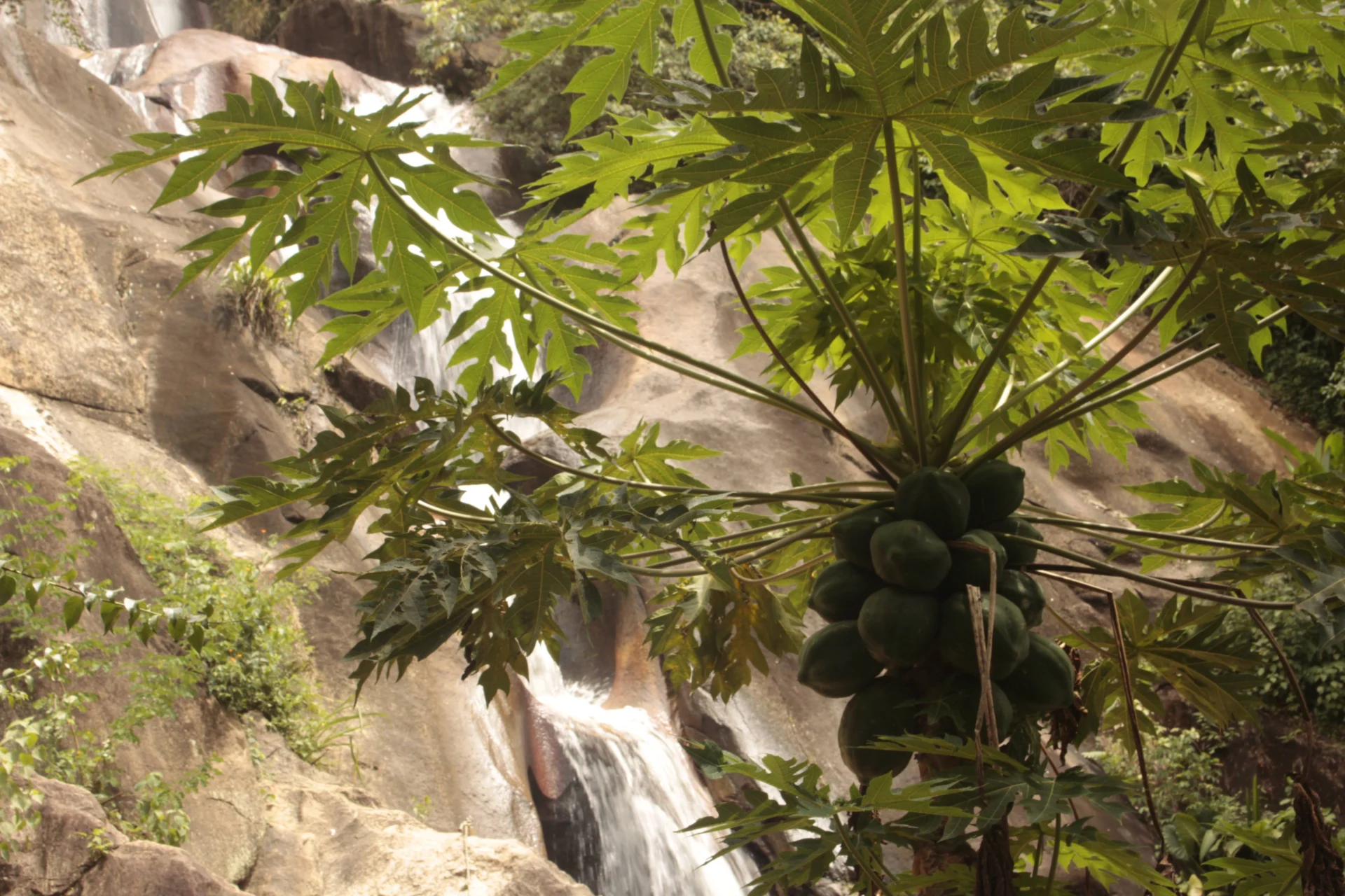 Where To Go In South America In 2026: The Aracari Hotlist 14 MG 2665.CR2