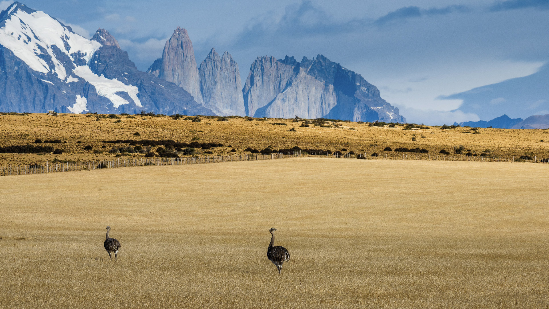 Where To Go In South America In 2026: The Aracari Hotlist 45 creserves portada2