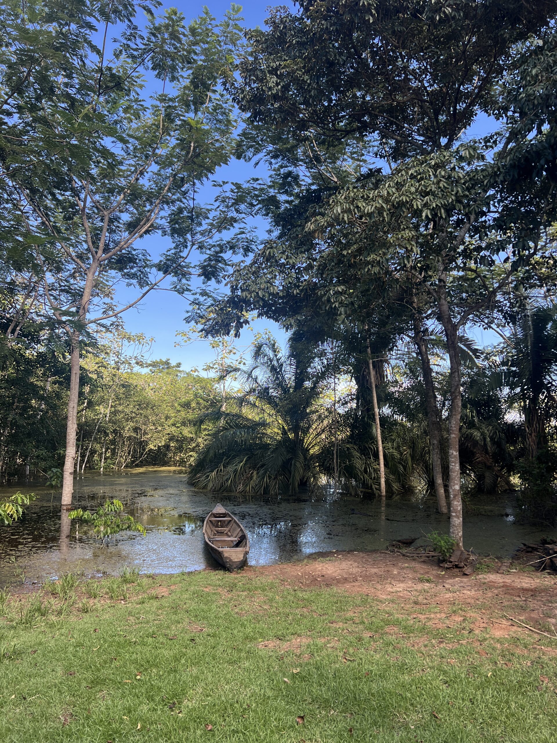 From Our World: Integrity, Instinct And A Long Road To Recognition 38 IMG 0224 1