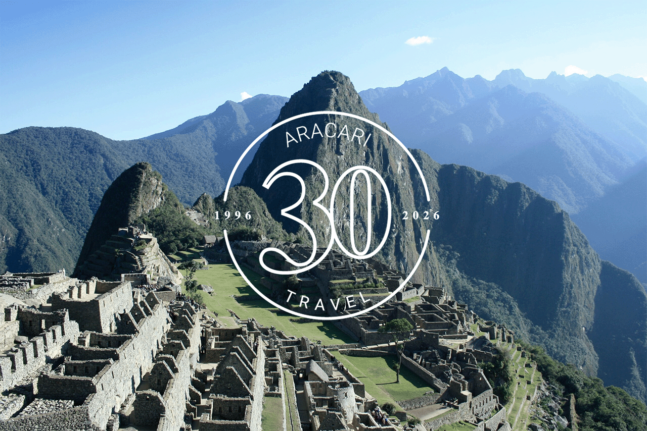 aracari at 30 video